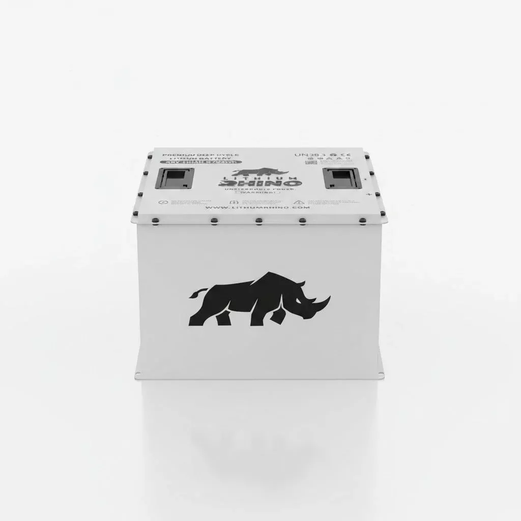 48V 170Ah Lithium Rhino 300a BMS Conversion Kit
