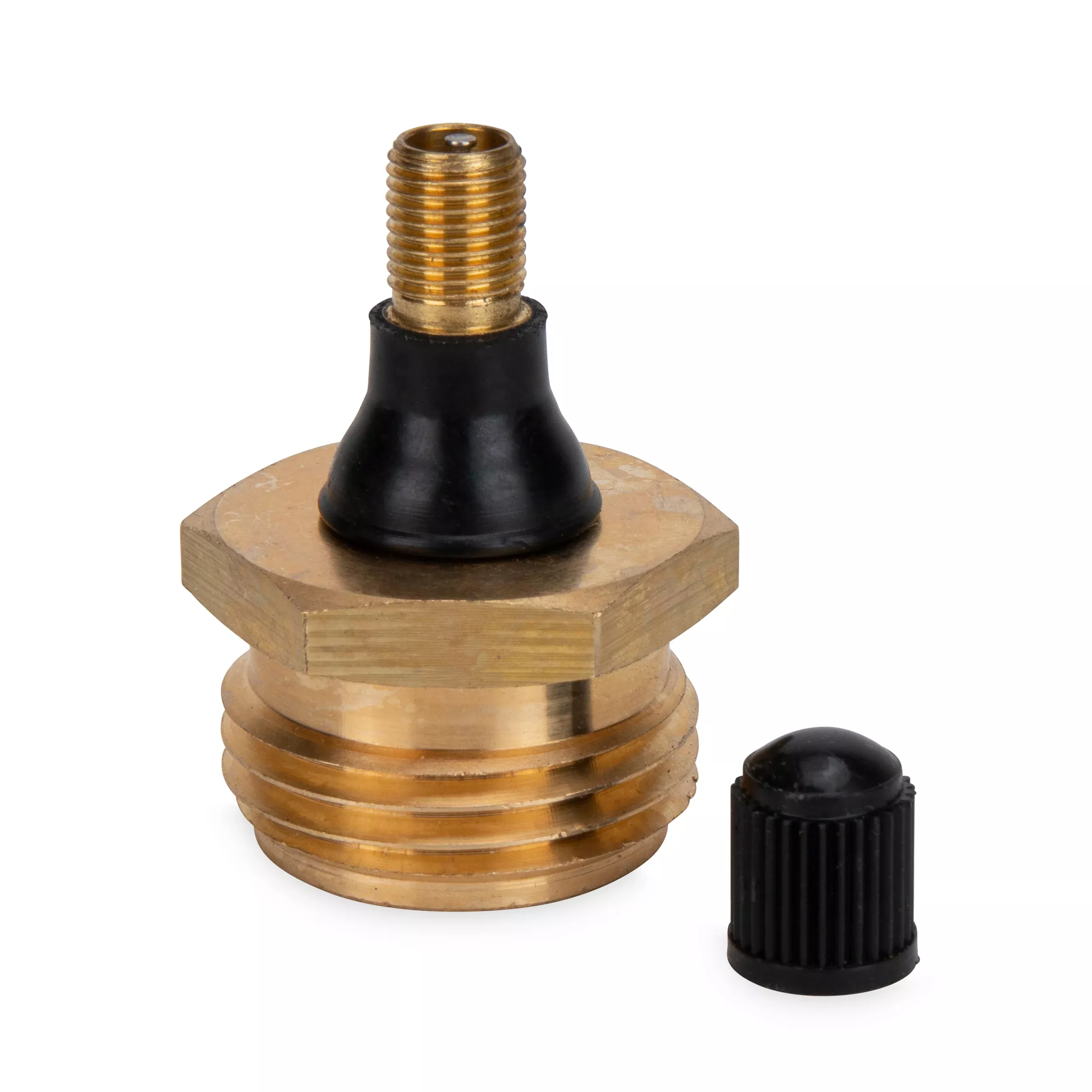 Blow Out Plug with Schrader Valve - Brass (Eng/Fr)