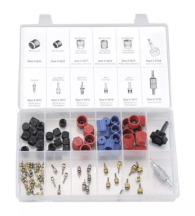 Cap & Valve Core Assortment w/ Tools