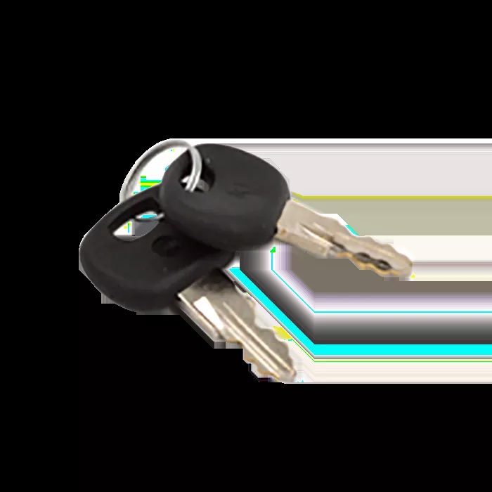 Curtis Cab Door Keys, Set of 2
