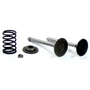 E-Z-GO Gas 4-Cycle Upgraded Valve Kit (Works with 1991-Up)