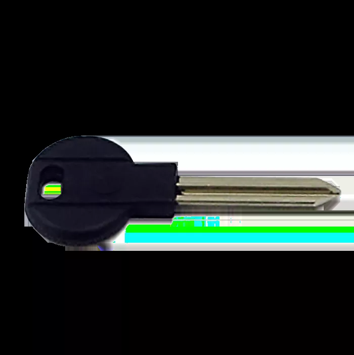 Ignition Key Blank, Individual