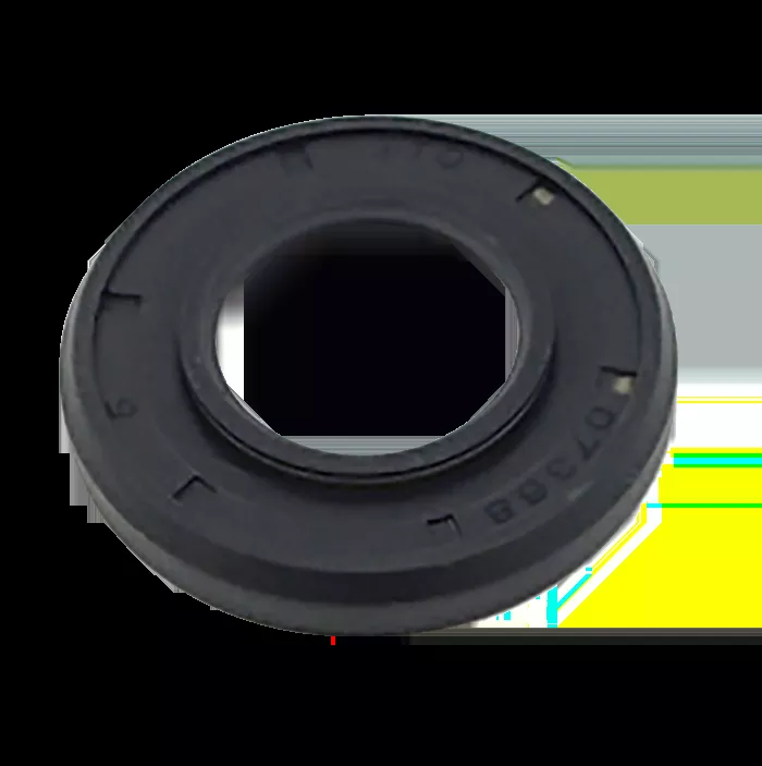 Input Pinion Seal