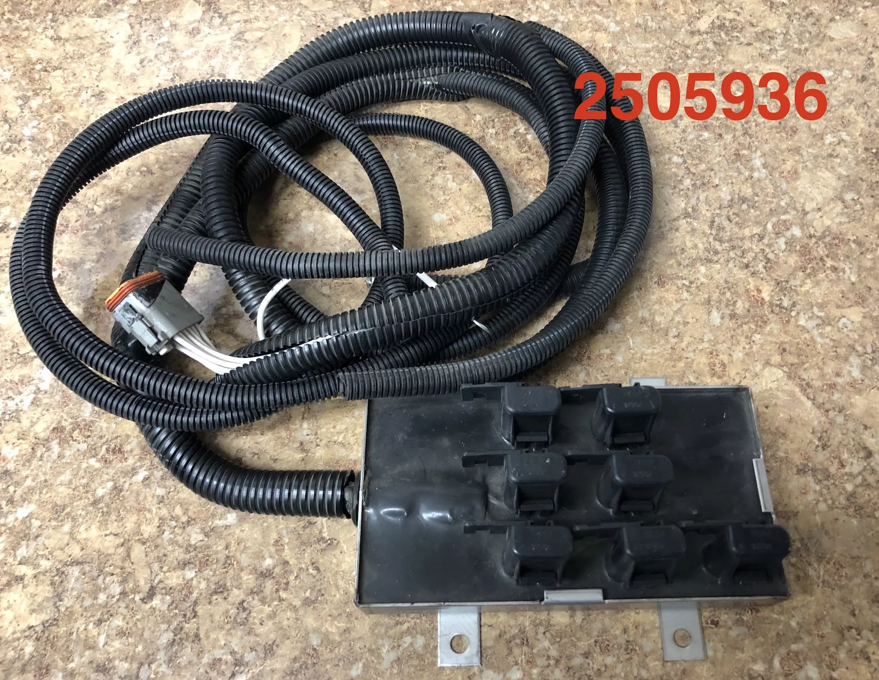 Magnum Chassis Relay Board with Harness 2505936