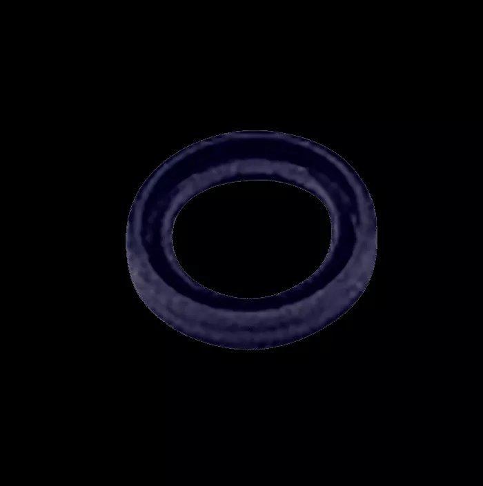 Oil Seal