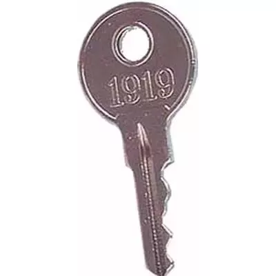 Replacement Keys, E-Z-Go 82 (25 QTY)