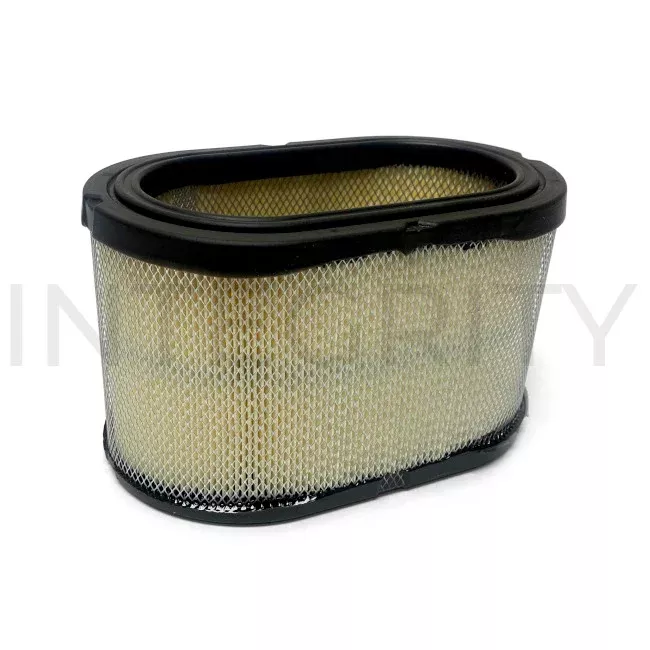 RV Air Filter for Onan Generator (to fit Newmar 08200)