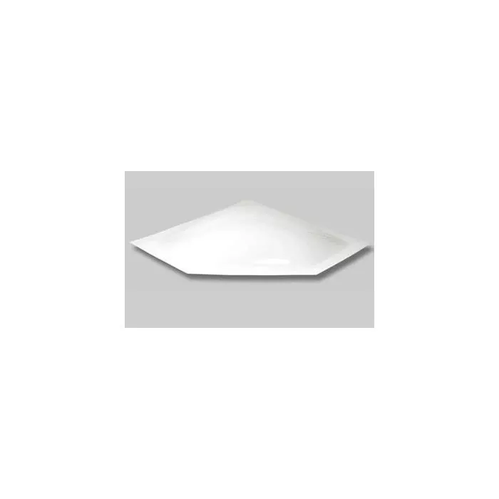 Specialty Recreation 24″ X 12″ White Neo Angle Skylight