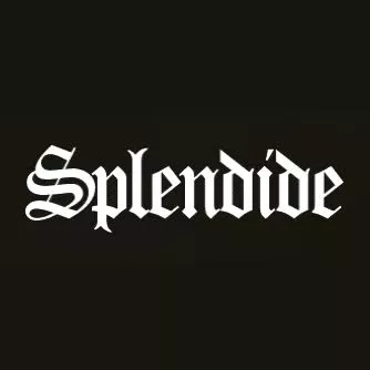 Splendide 143957 Harness for Door Interlock Switch