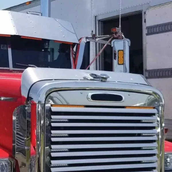 Stainless Steel Freightliner Classic Bug Shield