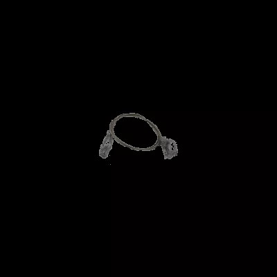 Strap, Rear
