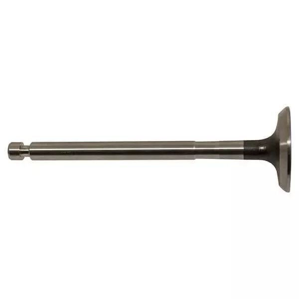 Yamaha Gas 4-Cycle Exhaust Valve | Models G2, G8, G9, G11 & G14